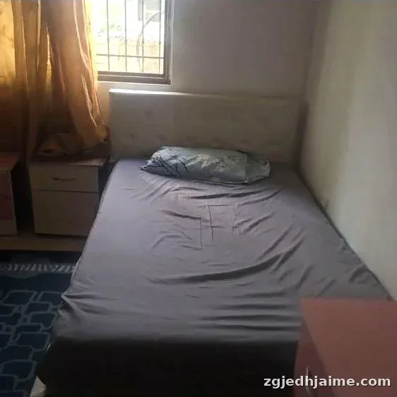 APARTAMENT 1+1 33,000 LEKE RRUGA JORDAN MISJA — foto 3