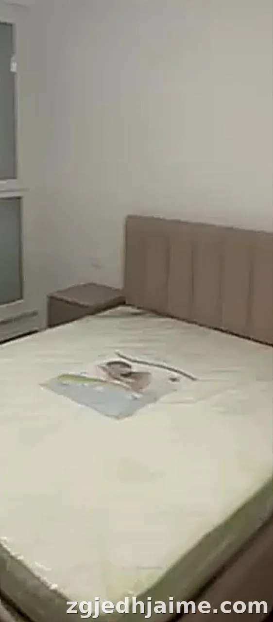 APARTAMENT 1+1 27,000 LEKE QYTET STUDENTI — foto 1