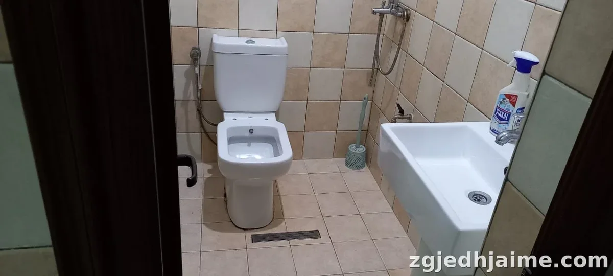 GARSIONERE 23000 LEKE.ISH TREGU ELEKTRIK,PALLATI GRAND — foto 4