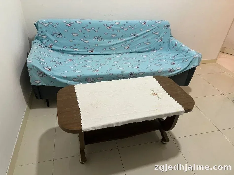 APARTAMENT 1+1 25,000 LEKE ISH-TREGU ELEKTRIK — foto 4