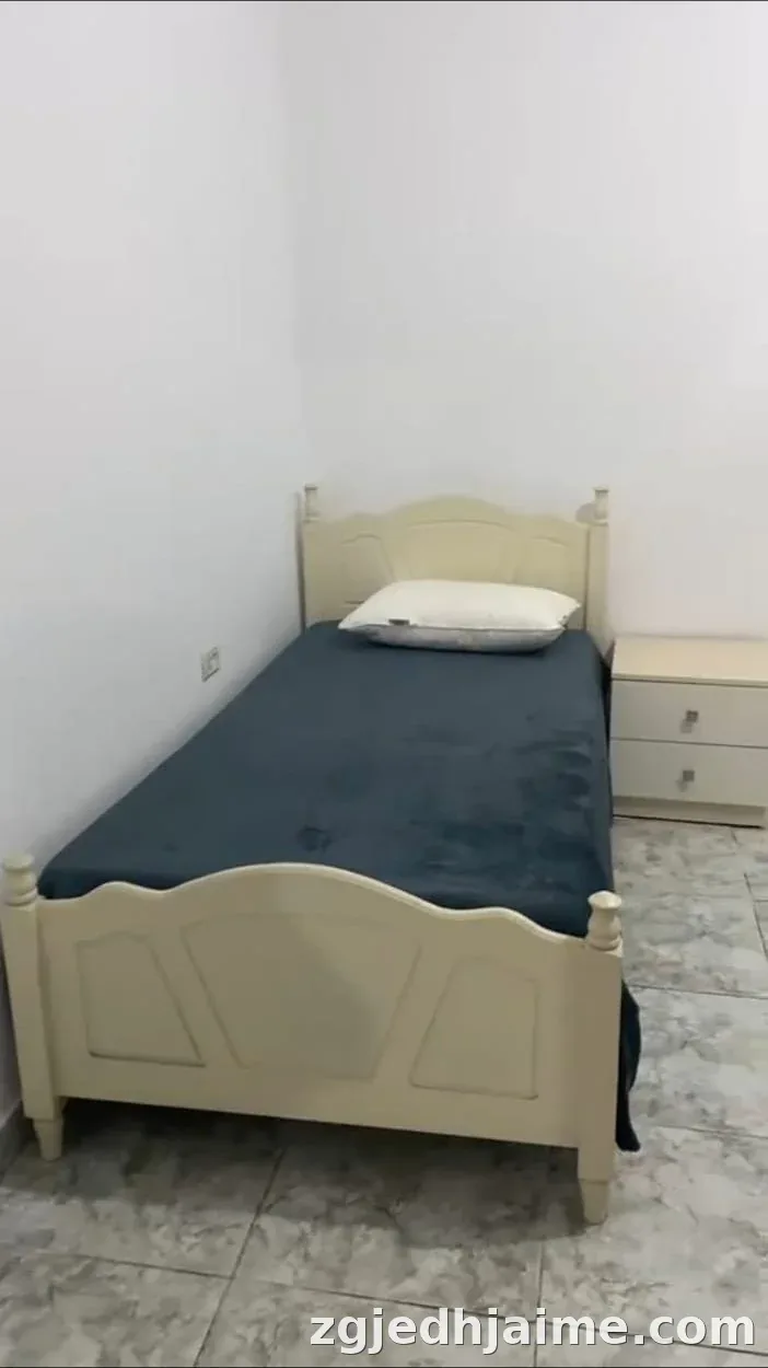 APARTAMENT 1+1. 30000 LEKE.ZOGU I ZI — foto 3