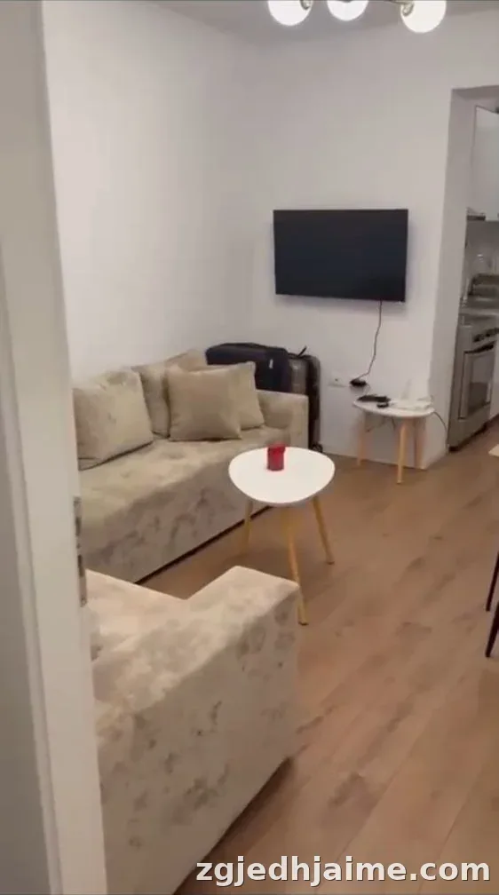 APARTAMENT 1+1 60,000 LEKE ZOGU I ZI — foto 1