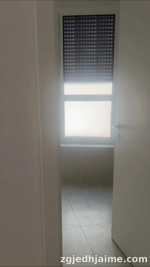 AMBIENT BIZNESI,30000 LEKE.ALI DEM