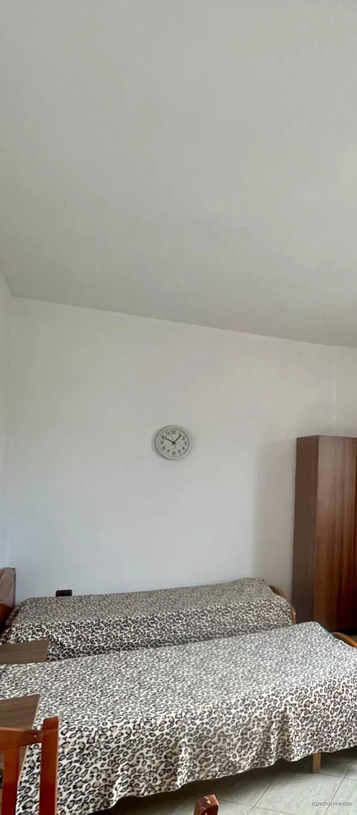 GARSIONERE 22000 LEKE.PRANE 21 DHJETORIT. — foto 3