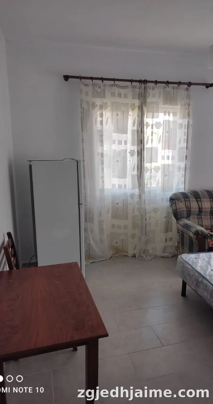 GARSIONERE 24000 LEKE.ISH TREGU ELEKTRIK — foto 2