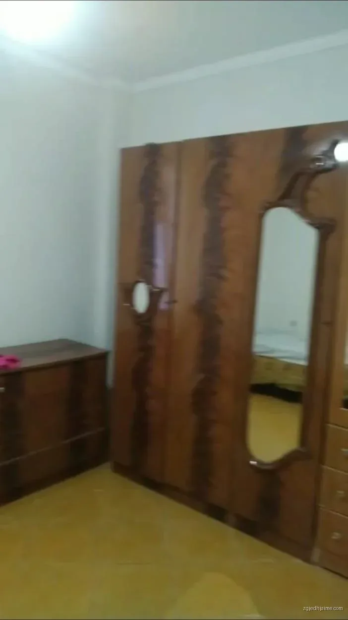 APARTAMENT 1+1. 270 EURO.VILAT GJERMANE — foto 2