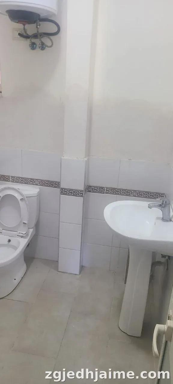 GARSONIERE 28,000 LEKE ISH-TREGU ELEKTRIK — foto 3