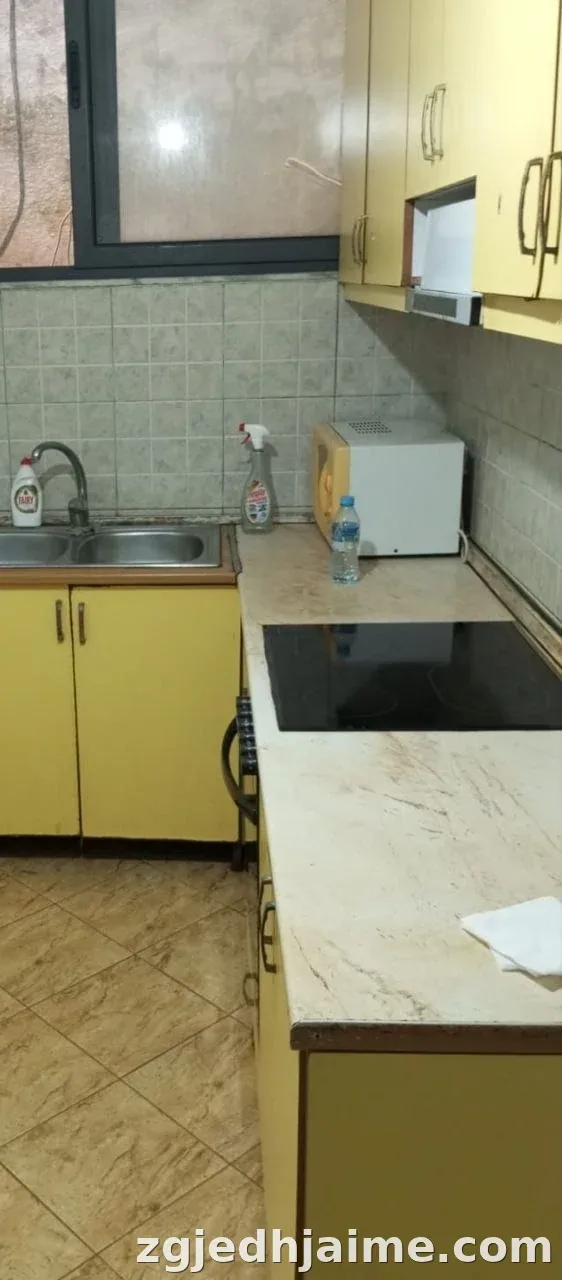 APARTAMENT 1+1 30,000 LEKE ISH-TREGU ELEKTRIK — foto 3