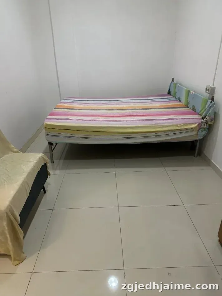 APARTAMENT 1+1 25,000 LEKE ISH-TREGU ELEKTRIK — foto 2