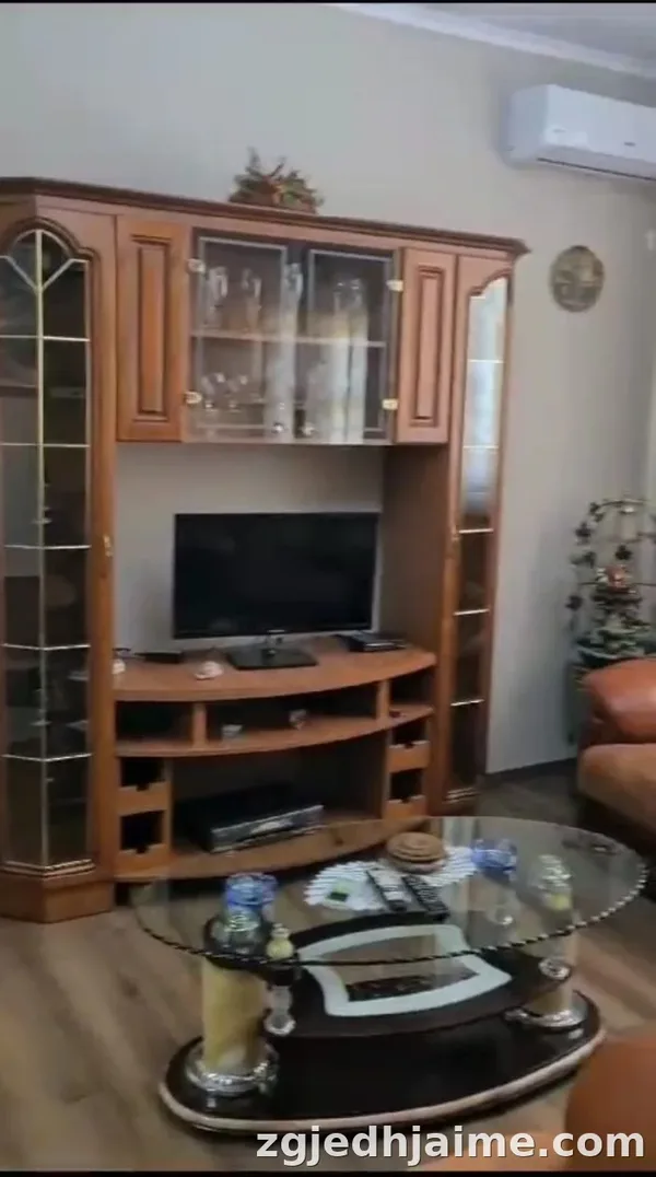 APARTAMENT 1+1. 40000 LEKE. 21 DHJETORI