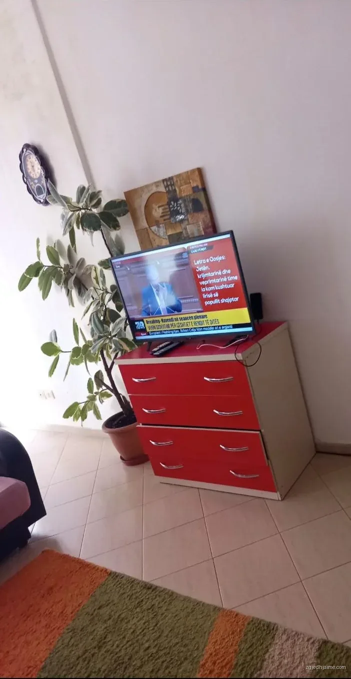 APARTAMENT 1+1. 30000 LEKE.ASTIR.BAR SANTANA — foto 3