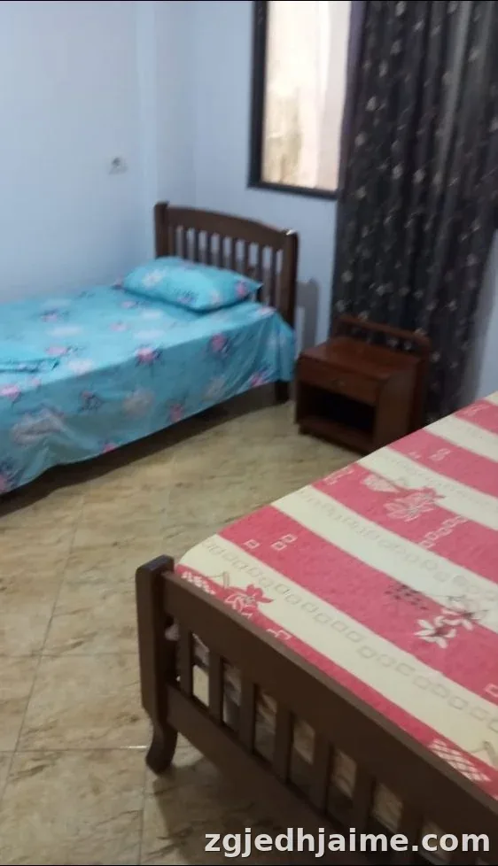 APARTAMENT 1+1 30,000 LEKE ISH-TREGU ELEKTRIK — foto 2