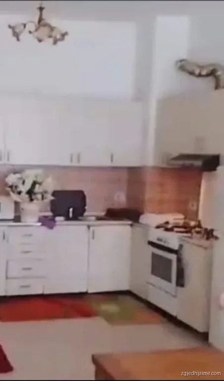 APARTAMENT 1+1. 310 EURO,ASTIR — foto 3