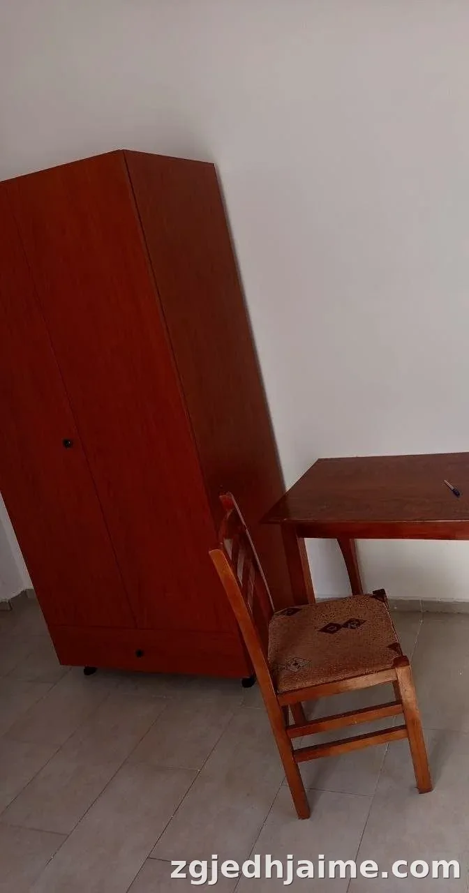 GARSONIERE 25,000 LEKE NE ZONEN E ISH-TREGUT ELEKTRIK — foto 3