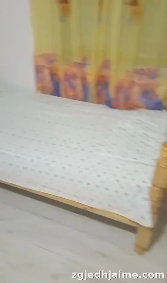 APARTAMENT 1+1 28,000 LEKE ISH-TREGU ELEKTRIK — foto 3