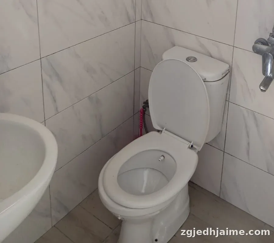 GARSONIERE 30,000 LEKE NE ZONEN E FAKULTETIT EKONOMIK — foto 5