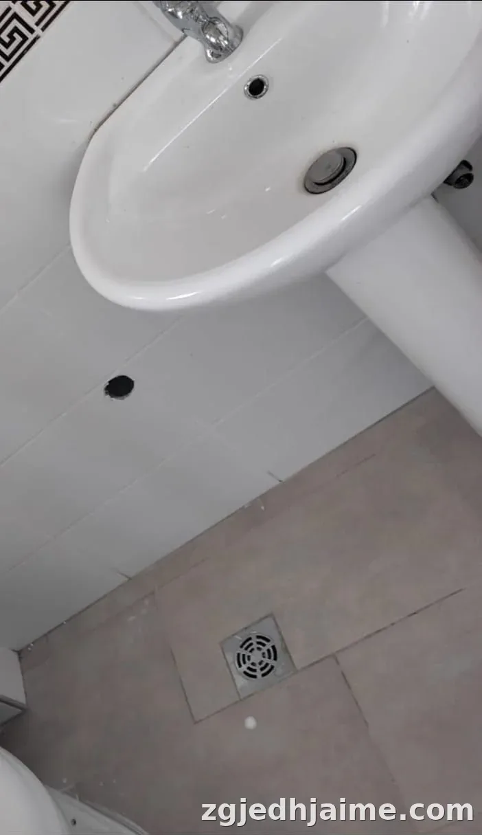 GARSIONERE 24000 LEKE.ISH TREGU ELEKTRIK — foto 4