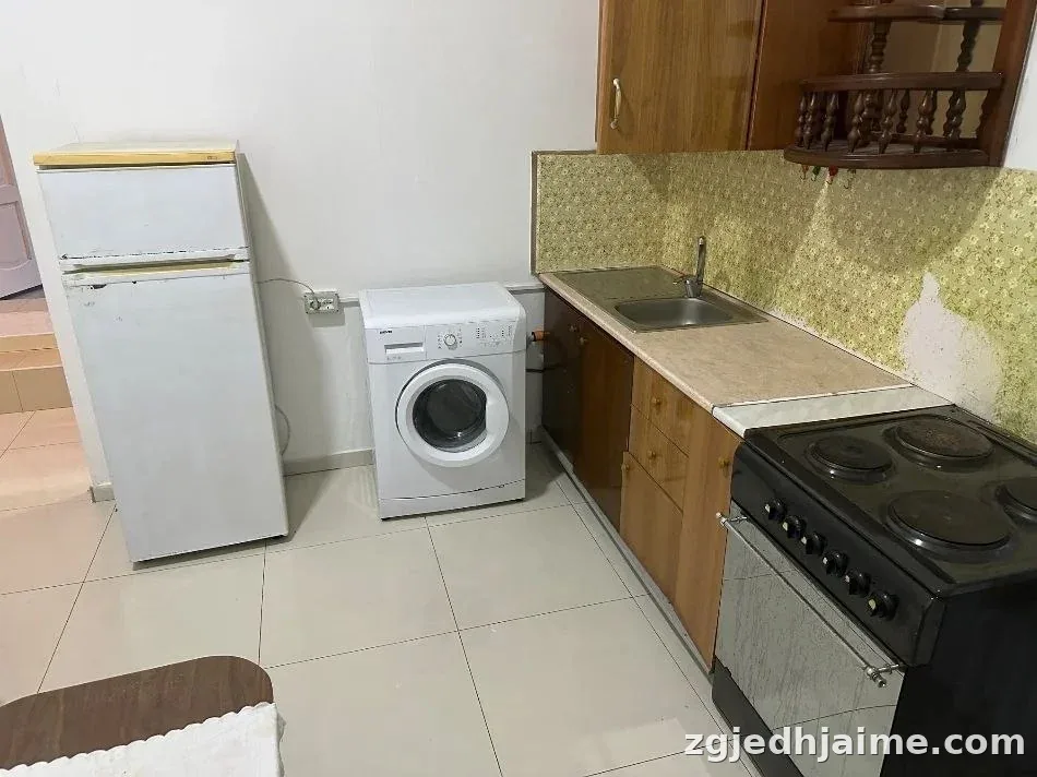 APARTAMENT 1+1 25,000 LEKE ISH-TREGU ELEKTRIK — foto 1