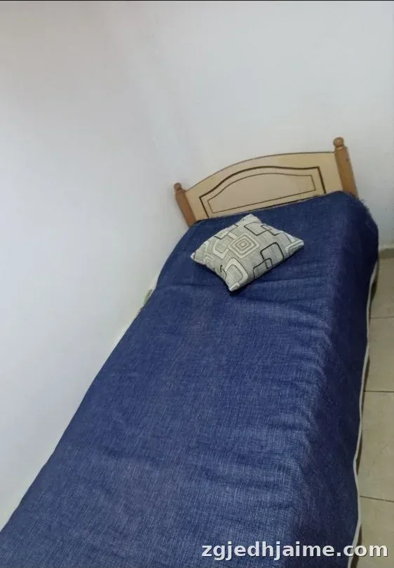 GARSONIERE 160 EURO VILAT GJERMANE — foto 2