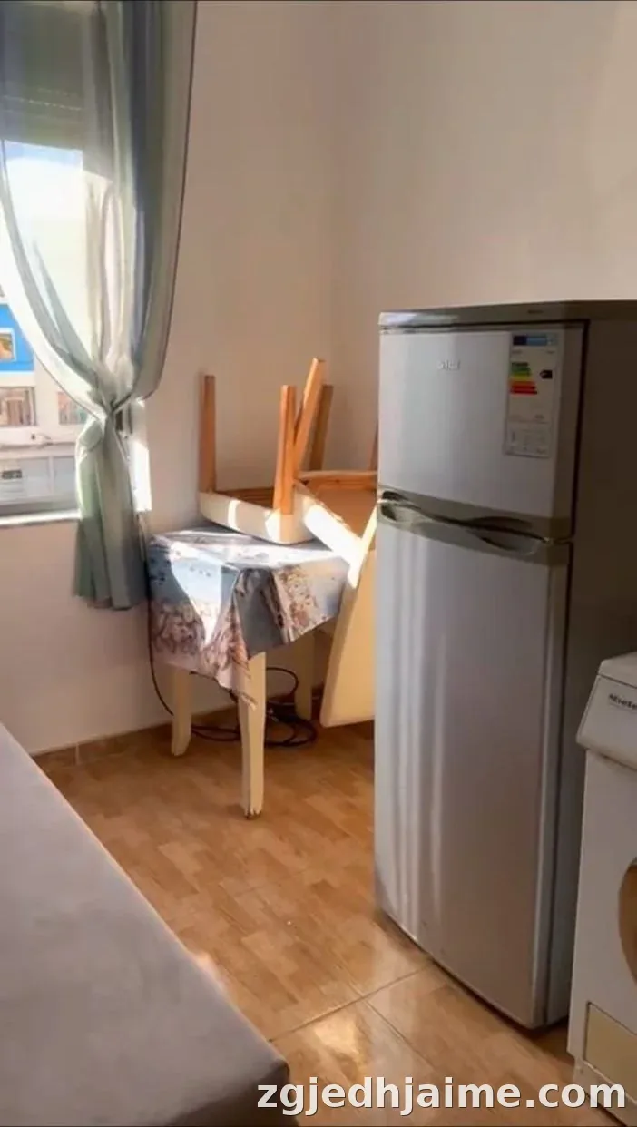 GARSONIERE 30,000 LEKE MYSLYM SHYRI — foto 4
