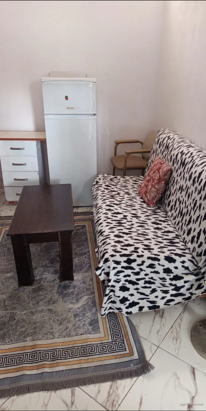 APARTAMENT 1+1. 25000  LEKE.RRUGA JORDAN MISJA. — foto 3